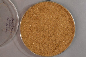 Meat & Bone Meal