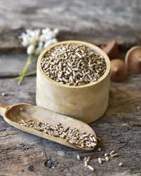 Psyllium Seeds
