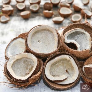 Dried Coconut