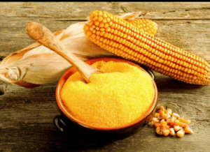 Maize Gluten