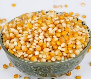 Maize / Corn