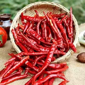 Dried Red Chilies