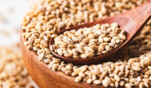 Barley Feed