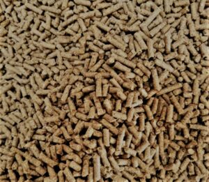 Horse Feed