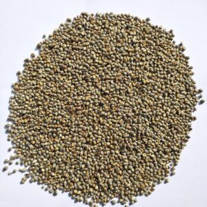 Millets Feed