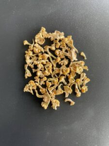 Solar Dehydrated Cauliflower