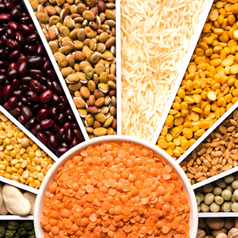 Grains/Pulses